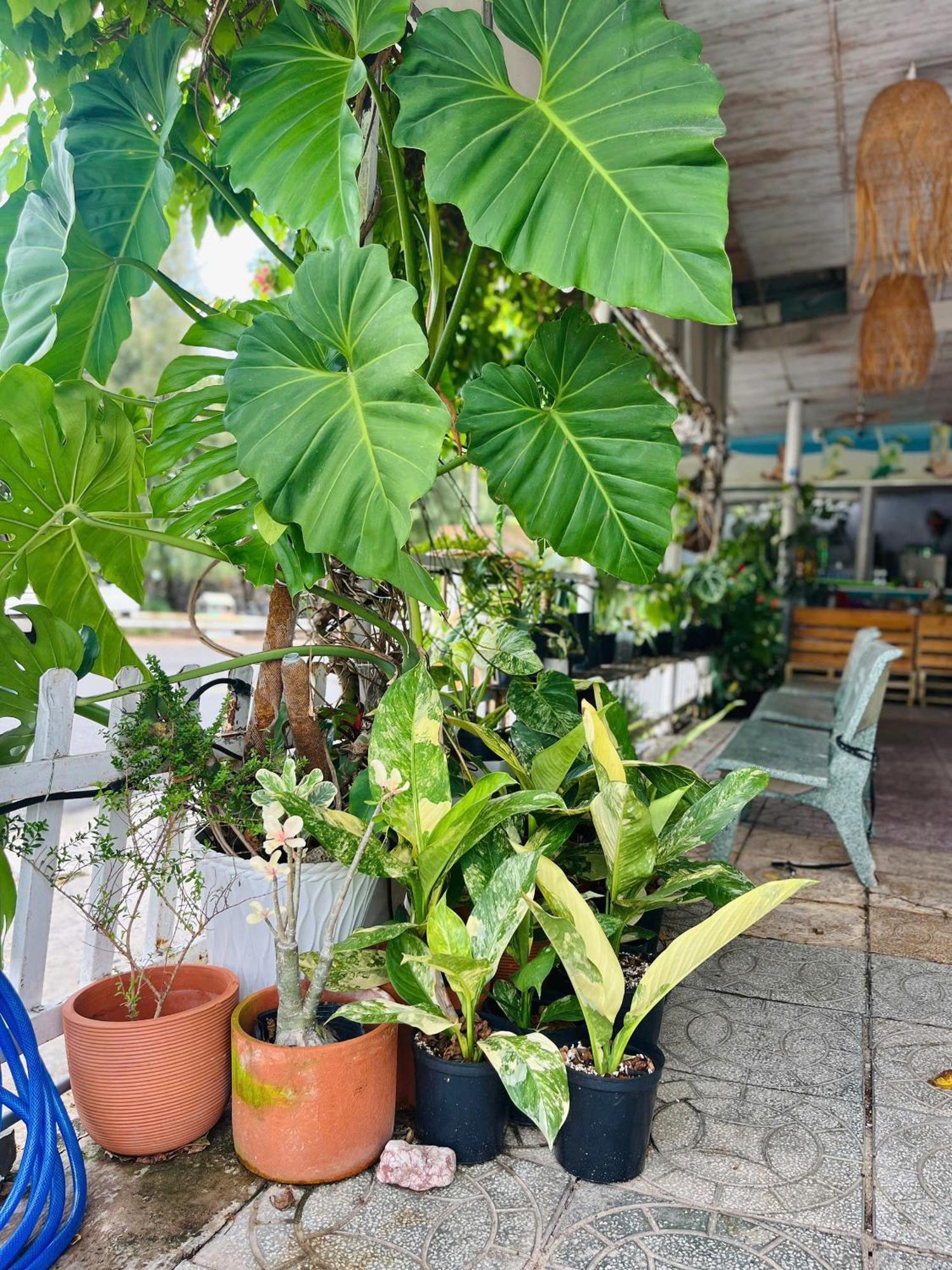 N'T Homestay 무이네 외부 사진