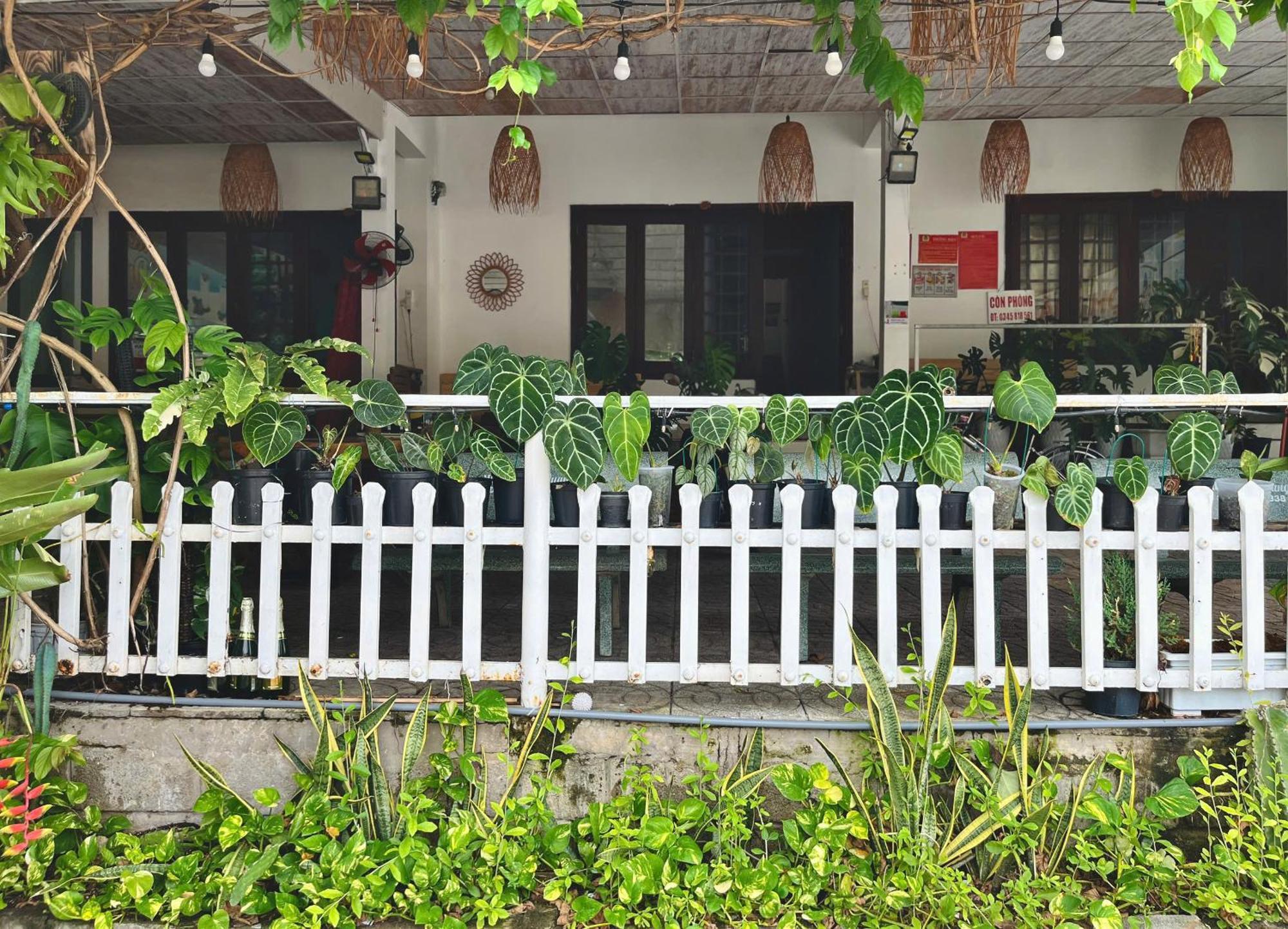 N'T Homestay 무이네 외부 사진